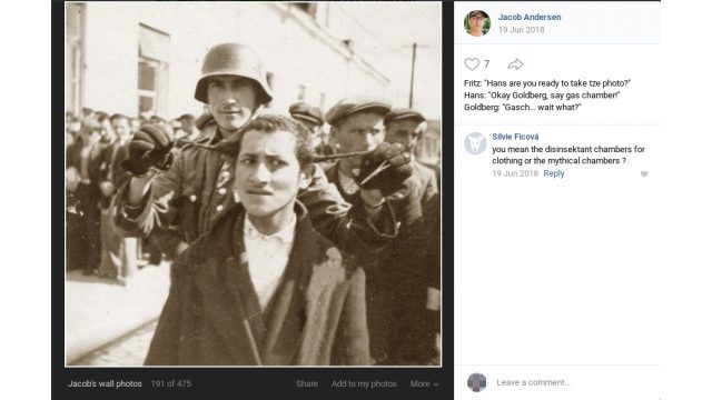Ved den 19. juni 2018 at dele et billede med motiv af en jøde og en tysk soldat, hvor den tyske soldat holder jødens ørelokker ud i vandret position, hvortil der til opslaget er tiknyttet kommentaren oversat til dansk: Fritz: "Hans er du klar til at tage et foto?" Hans: Ok Goldberg, sig gaskammer!". Goldberg: "Gas - ven hvad?". Ved den 19. juni 2018 at dele et billede med motiv af en jøde og en tysk soldat, hvor den tyske soldat holder jødens ørelokker ud i vandret position, hvortil der til opslaget er tiknyttet kommentaren oversat til dansk: Fritz: "Hans er du klar til at tage et foto?" Hans: Ok Goldberg, sig gaskammer!". Goldberg: "Gas - ven hvad?".