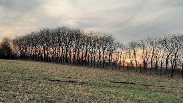 GI's talsmand liker bl.a. "Boatsinkers" opslag på Instagram. Efter Redox' afslørring sidste sommer ændrede han profilnavn til "Claus_Goatsie". Screenshot.