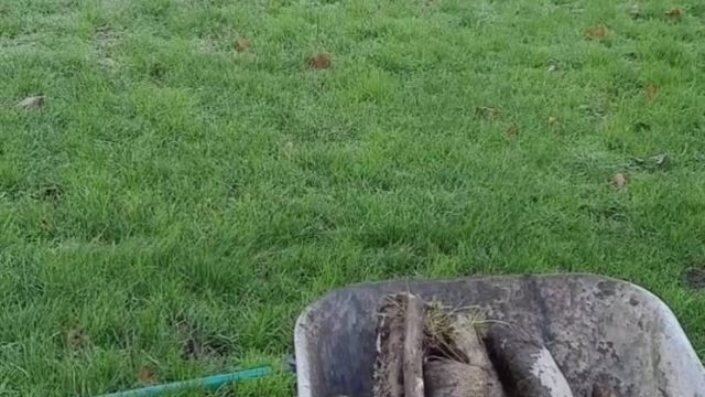 Også Sigfred Agerbo Jensen støtter antisemiten "Boatsinker" på Instagram. Screenshot Også Sigfred Agerbo Jensen støtter antisemiten "Boatsinker" på Instagram. Screenshot